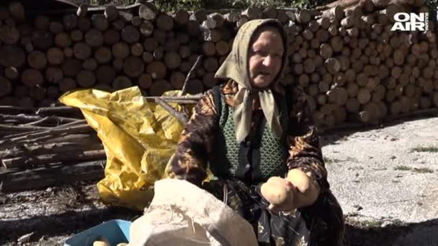 Родопският картоф е на път да изчезне