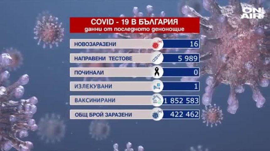 Само 16 заразени и без починали от Ковид-19 в изборния ден