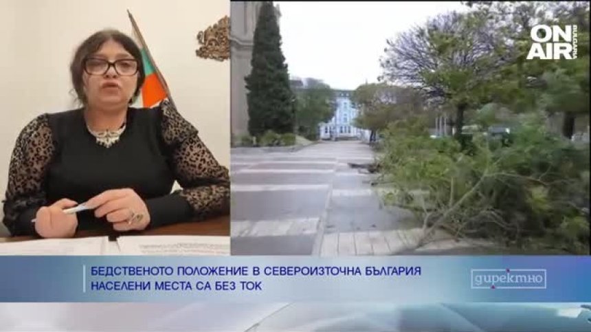 След ураганните ветрове - ситуацията в района на Варна и Добрич се стабилизира