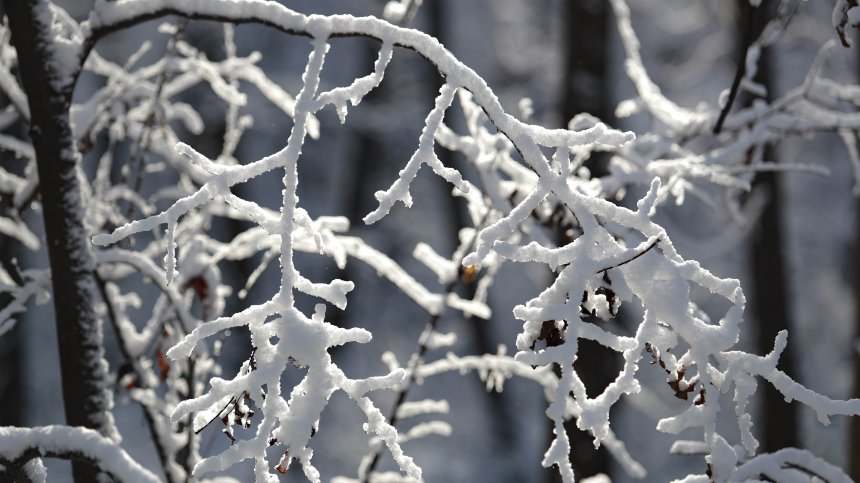 Ураганен вятър, студ, идва и сняг - ето къде ще завали първо
