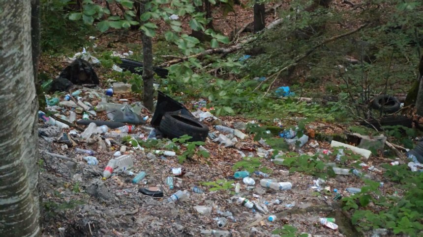 Вековната гора край Петрохан вече е незаконно сметище