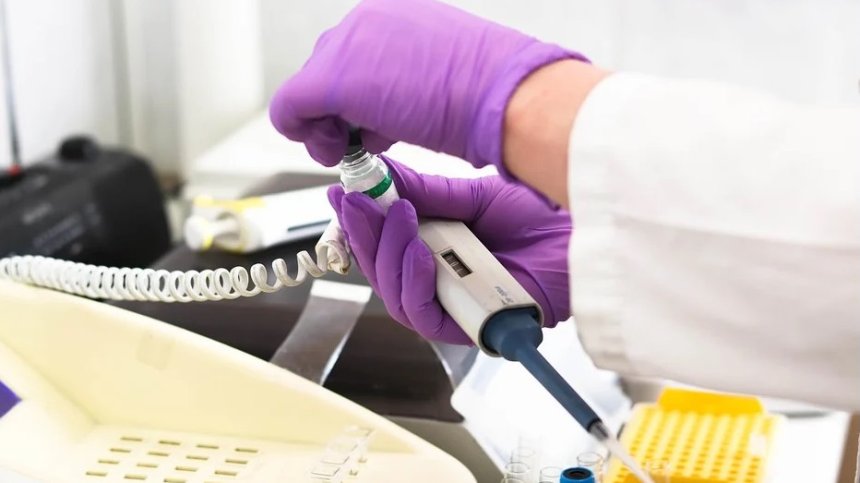 Израелски учени обърнаха процеса на стареене, използвайки кислород