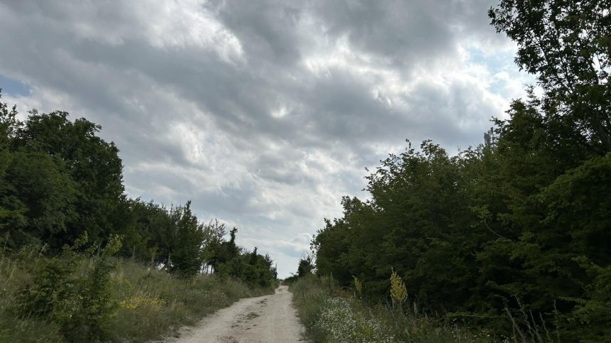 Бурята в Шуменско остави населени места без ток