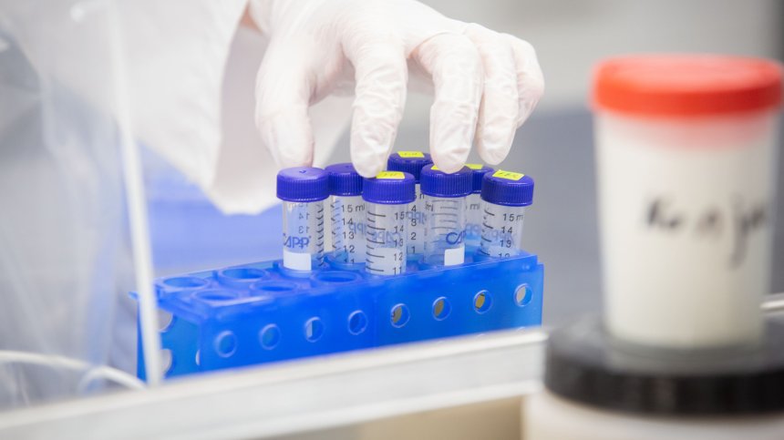 Ковид-19 за денонощието: Без починали и ваксинирани, заразени са 66 души 