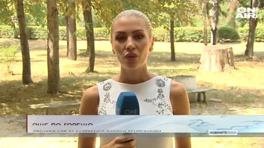 Обедна емисия
