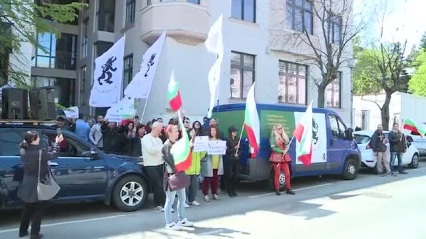 Протест пред френското посолство в София заради отнето бебе на българка