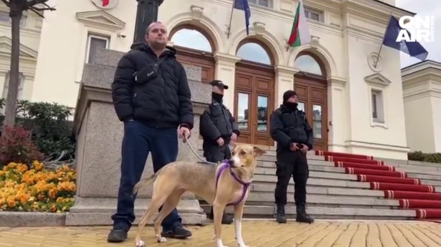 Дежа вю: Кучето Фернанда отново посрещна депутатите, този път със своя стопанин