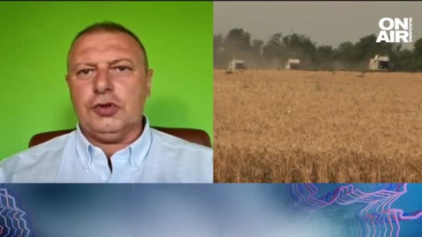 Костадинов, НАЗ: Налице е нерегламентиран внос на украинско зърно в България