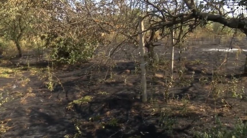 Почина жената, пострадала при пожар в село Александрово