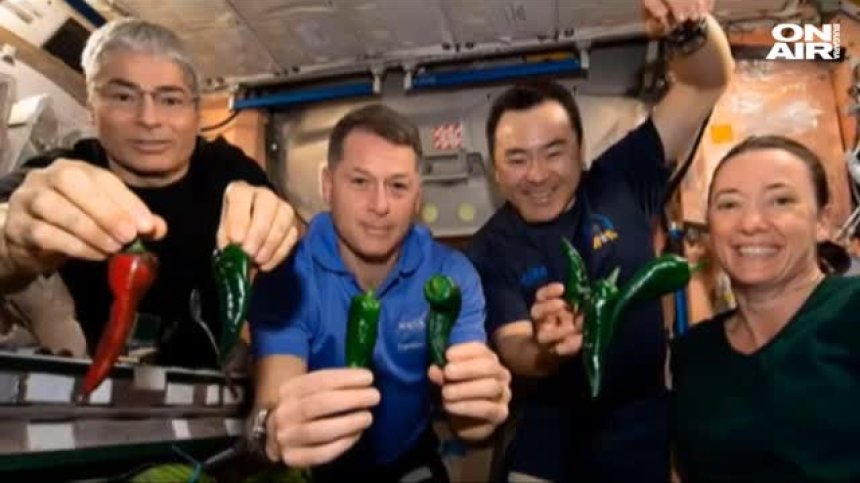 Неловко: Астронавти от SpaceX ще трябва да използват памперси