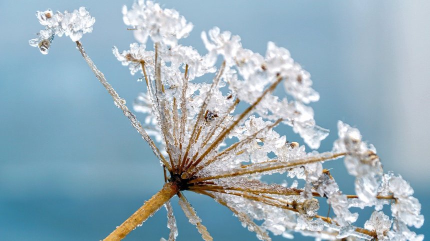 Зимно утро с отрицателни температури, вятърът ще раздуха облаците