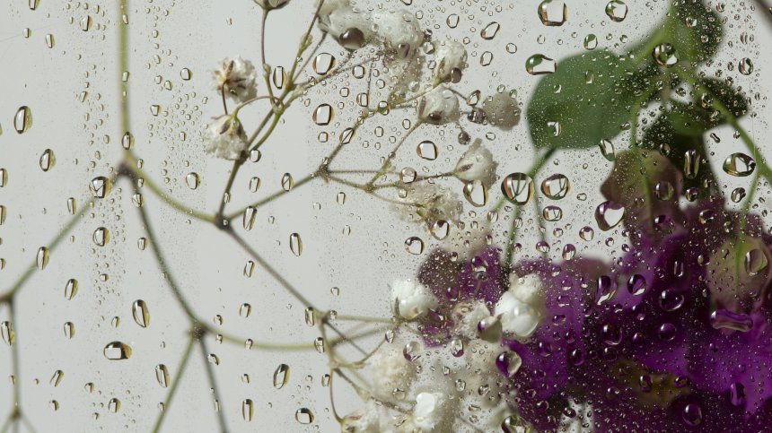 Времето днес: Слънце, дъжд и гръмотевици