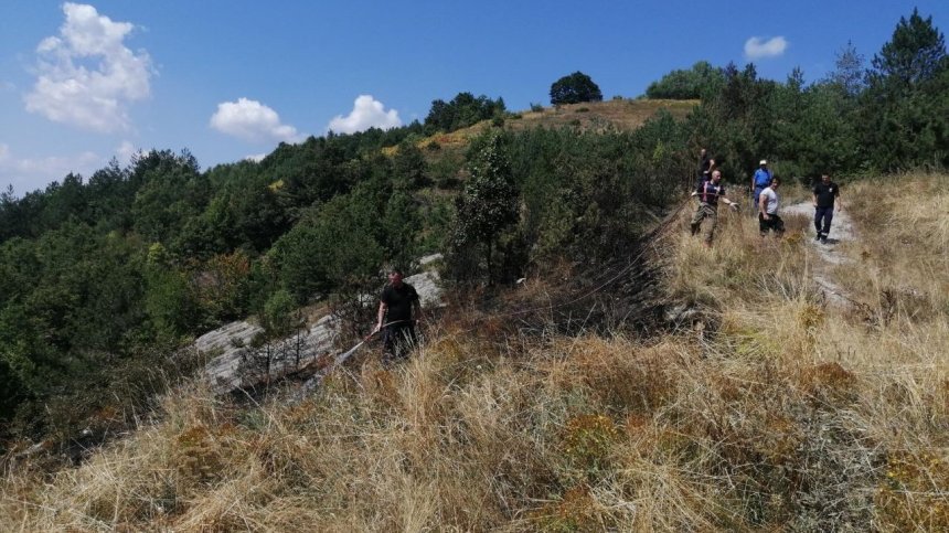 Два пожара бушуват в Асеновградско, общината обяви частично бедствено положение