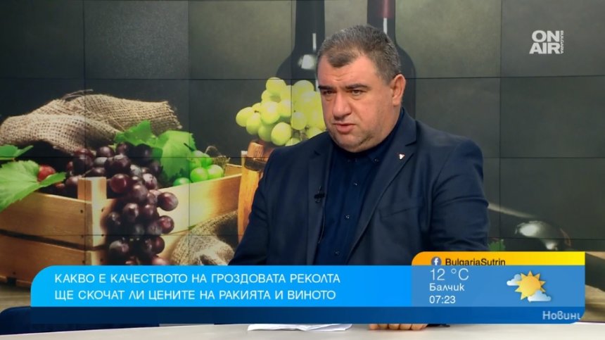 Цената на гроздето скочи, но не се очаква виното и ракията да поскъпнат
