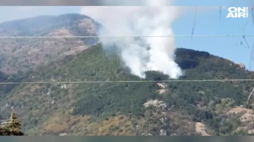 Пожар в планината над Карлово: Пламъци обхванаха борова гора