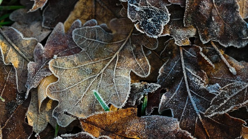 Кой беше най-студеният град тази сутрин с температура -19 градуса (КАРТА)