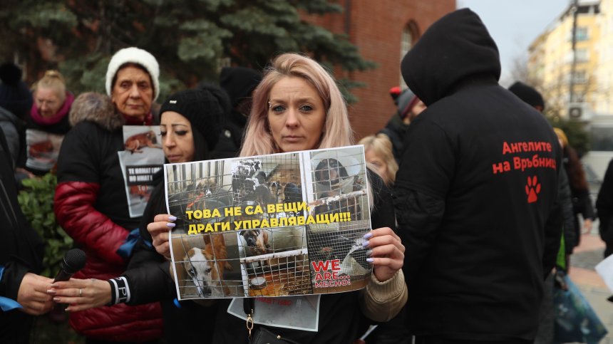Граждани излязоха на протест пред СОС заради приюта за кучета във Връбница