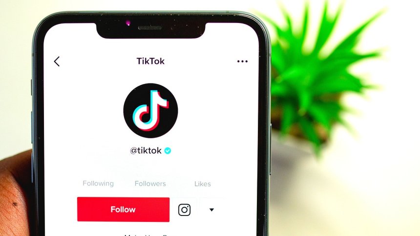Разузнаването и ФБР: Китай може да повлияе на изборите в САЩ чрез TikTok