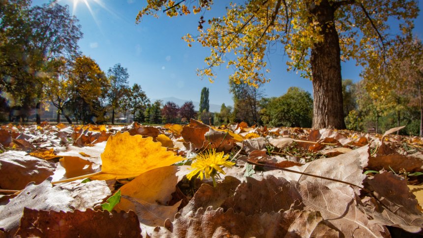 Времето в понеделник: Слънчево, но хладно
