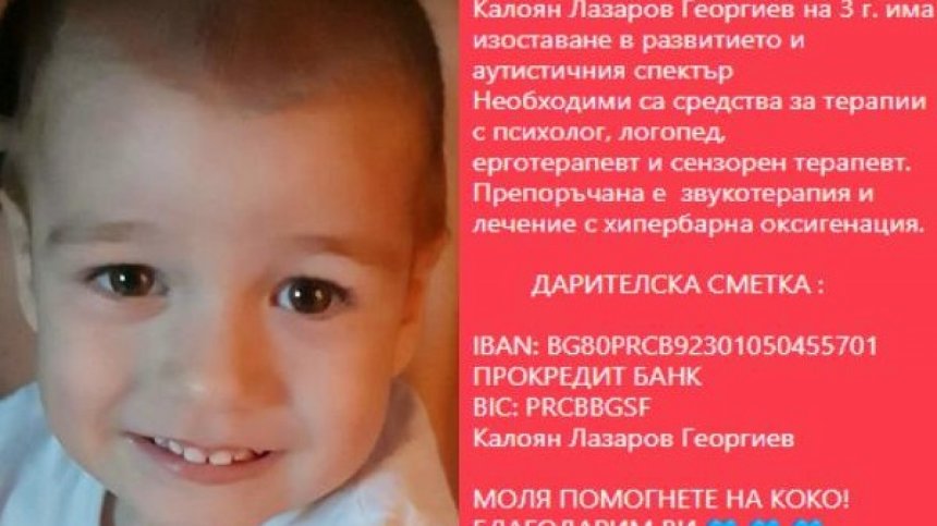 Малък, но борбен &ndash; Коко има нужда от помощта ни