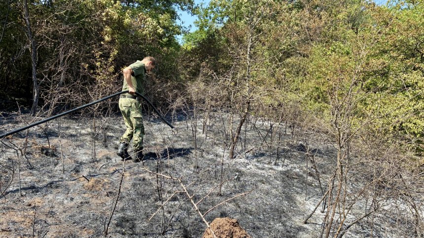 Овладяха пожара в село Опицвет