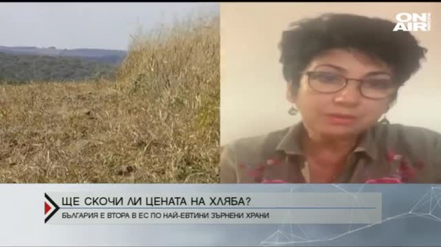 Да очакваме ли скок в цената на хляба?