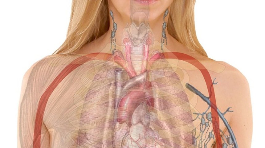 Как да се грижим правилно за щитовидната жлеза?