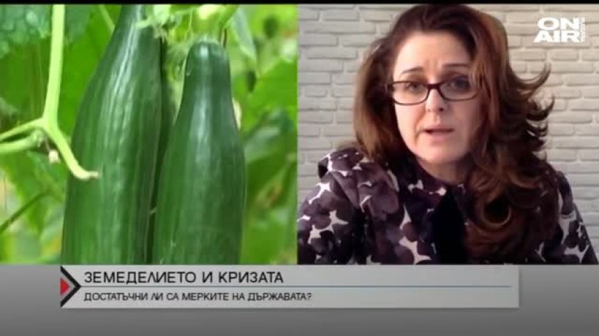 Отражението на кризата върху земеделския сектор