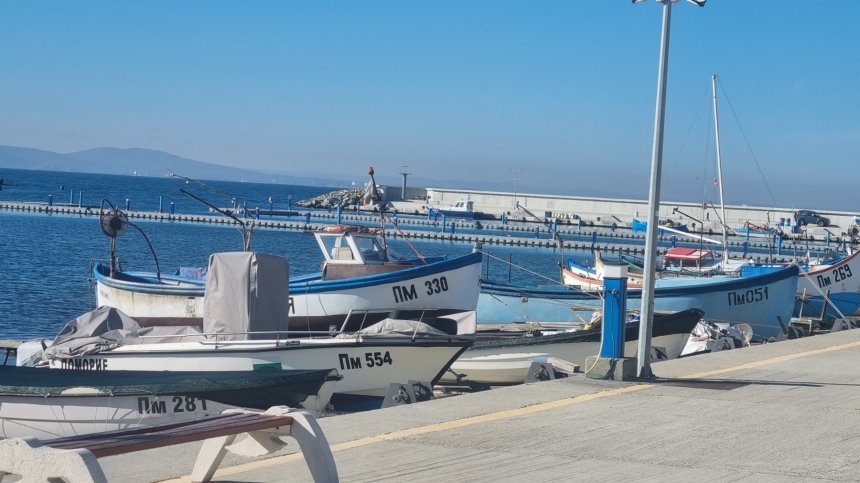 Компенсират с 2 млн. лв. спрения риболов заради риск от мини в Черно море