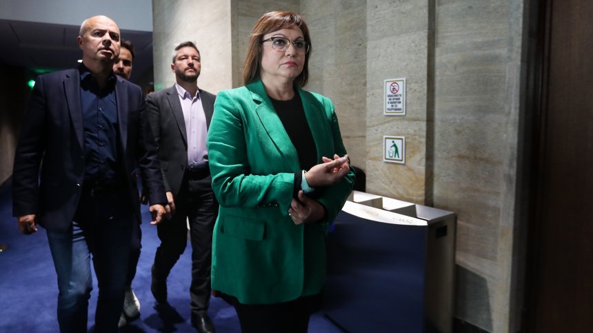 Нинова: Белите якички от Харвард се събраха с мутренския модел и се роди чудовищe