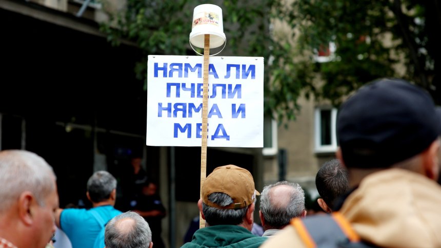 Пчеларите излизат на протест, искат подпомагане от 50 лв. на кошер