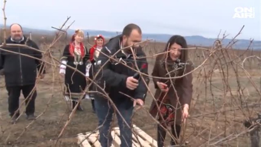 Последователна в традициите: Херо Мустафа заряза лозята за берекет