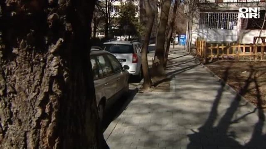 Вандалска проява: Опит за унищожаване на дървета в кв. "Оборище" в столицата