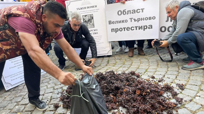 Лозарите излязоха на протест заради неспазените обещания, губят по 400-500 лв. на декар
