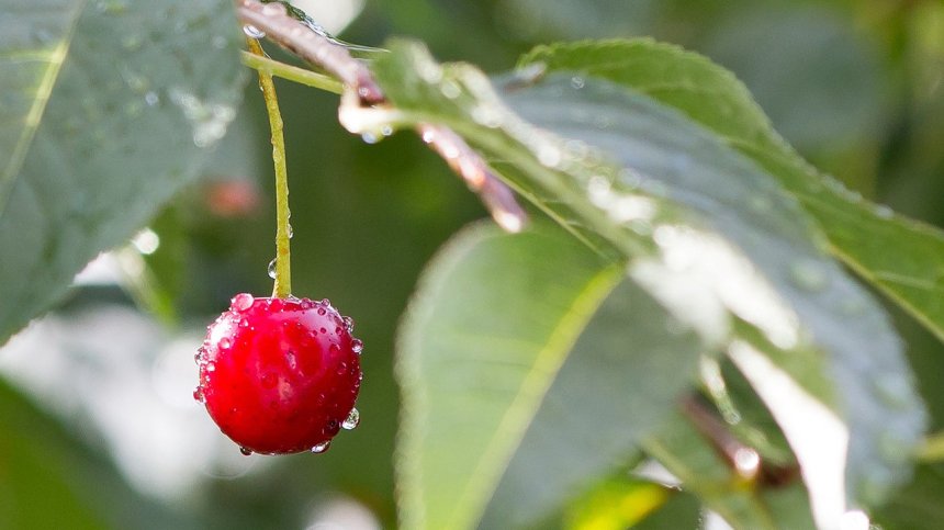 Времето в неделя: Очакват ни превалявания на места, температурите ще са между 26-31 градуса