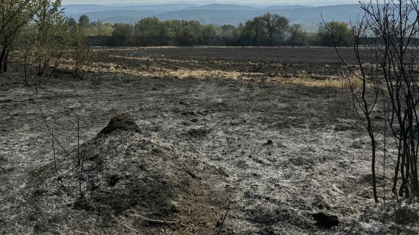 България е сред 10-те най-засегнати от горски пожари държави в ЕС