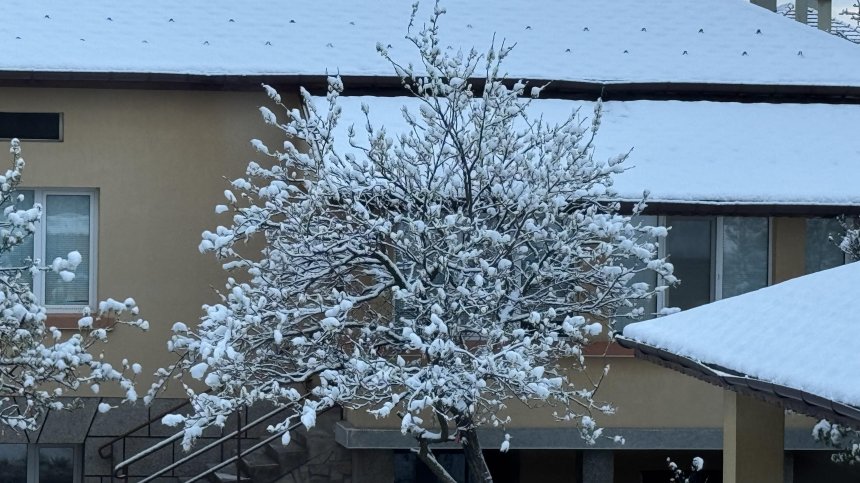 Села в Смолянско останаха без ток