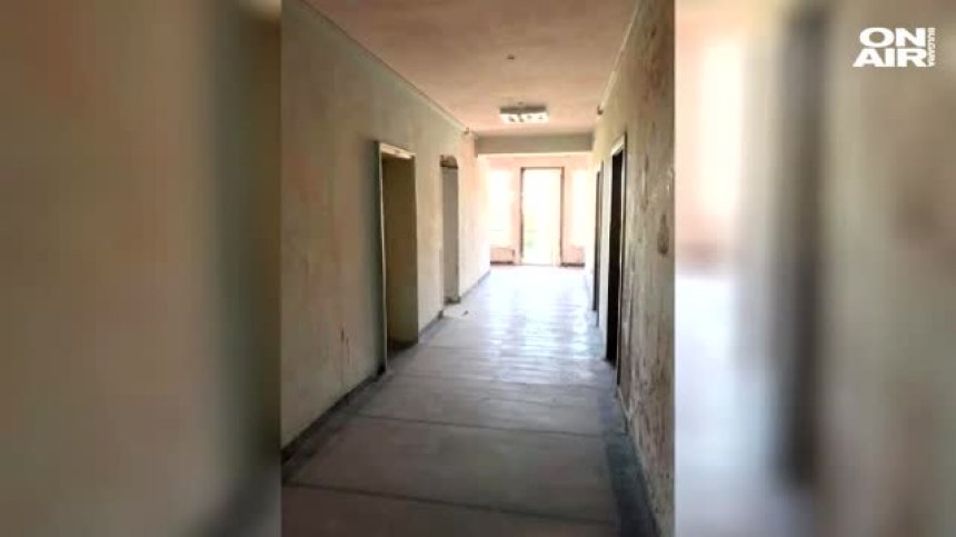 Като във филм на ужасите: Студенти са принудени да живеят сред мухъл, мръсотия и дървеници