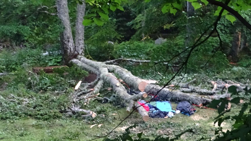 Дърво уби на място чешка туристка край Рилския манастир