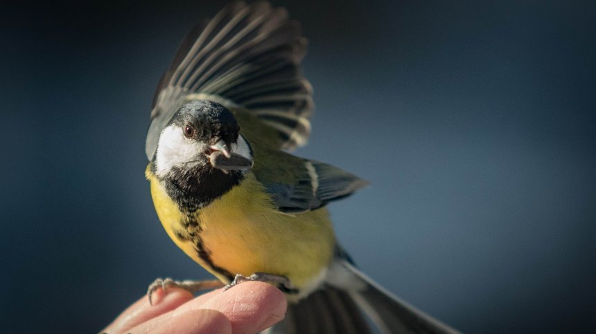 Горещ понеделник с температури до 34 градуса