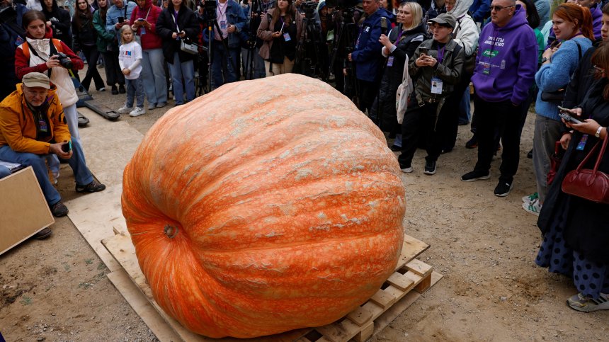 Избраха най-голямата тиква в света (ВИДЕО)