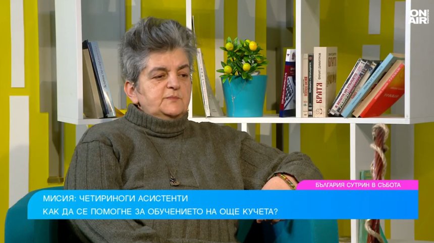 Кучета с мисия: "Очи на четири лапи" променя животи в България