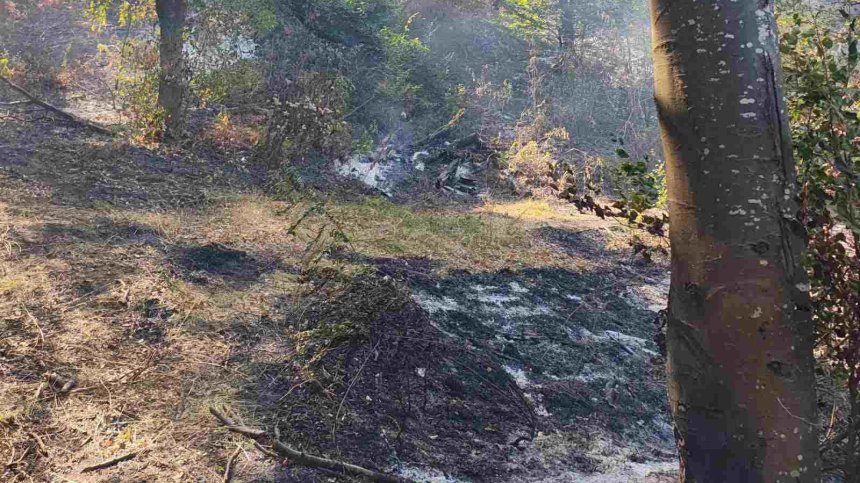 Силен вятър разпали отново горския пожар край село Лесковец