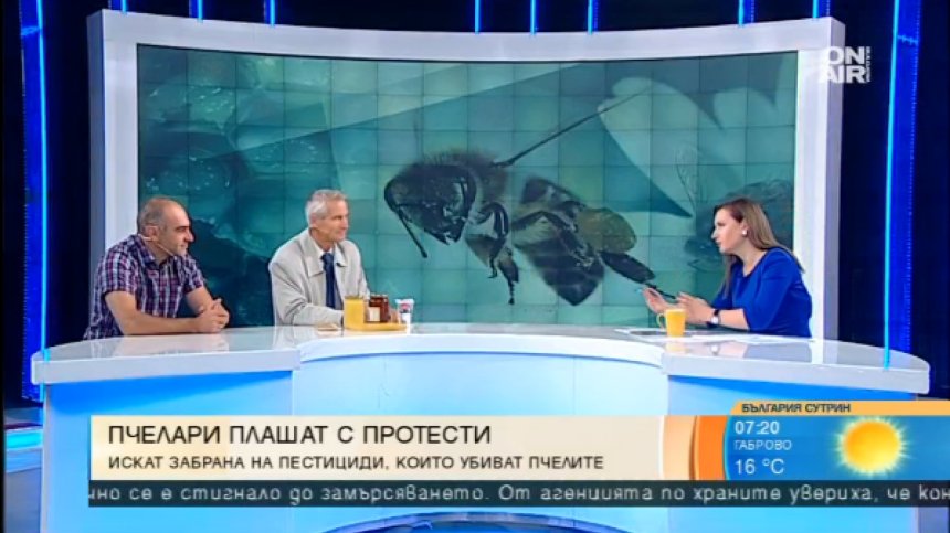 Пазар на меда: Цената на дребно леко се покачва, на едро - пада