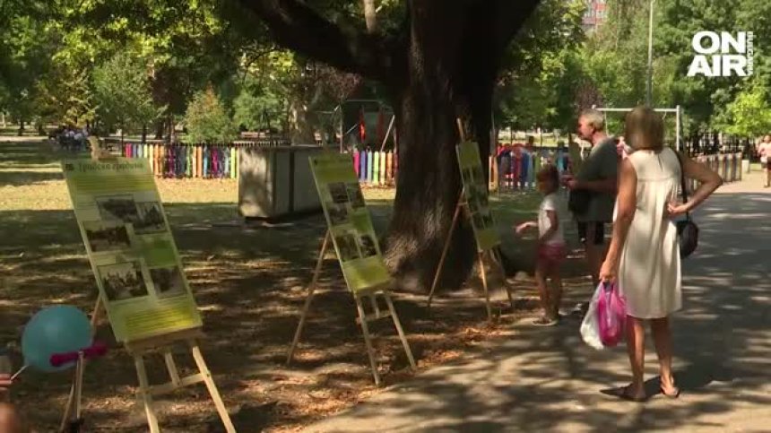 Кампанията "Зелените библиотеки" отново зарадва деца и възрастни в София