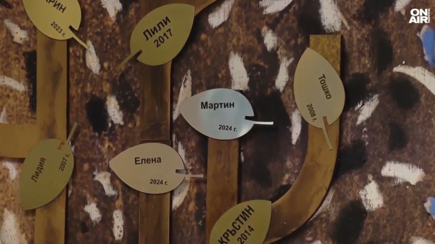 Европейски ден на донорството: 823-ма чакат за трансплантация в България