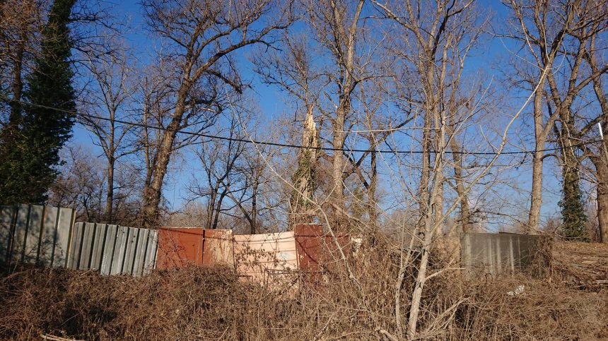 HelpBook сигнал за изпочупени, опасни дървета край къмпинг "Врана"