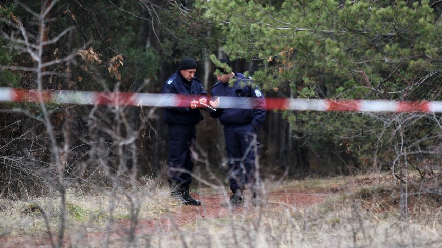 Търсят изгубено 4-годишно дете в гора край Радомир