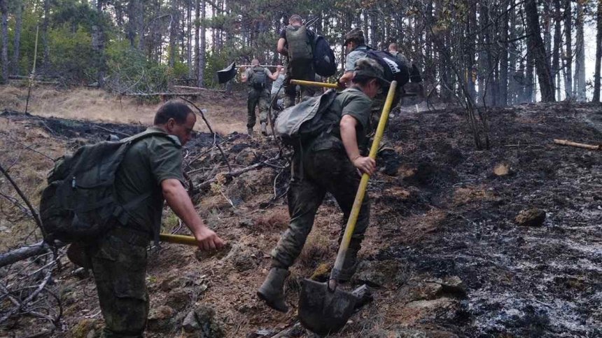 Сухопътни войски се включват в борбата с пожара в село Михилци