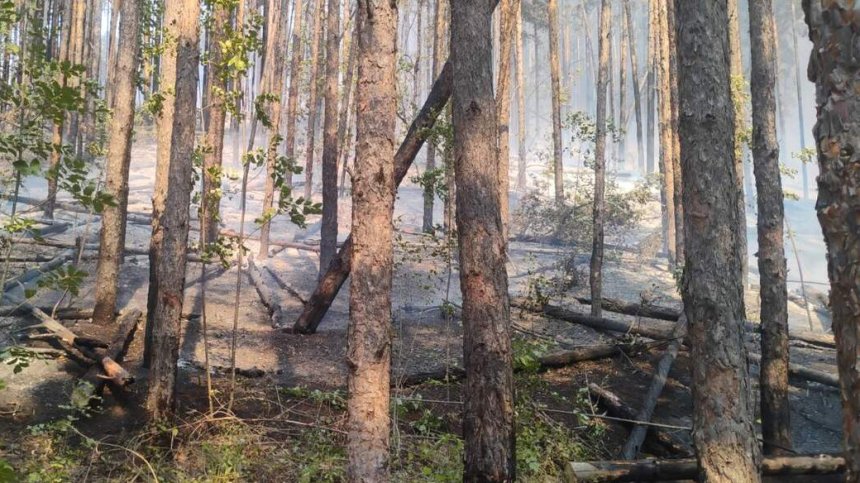 Техническа неизправност в трактор е подпалила гората край село Лесковец